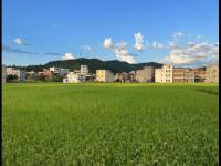 富川FCVSFC安阳直播_富川FCVSFC安阳免费高清直播_富川FCvsFC安阳视频回放